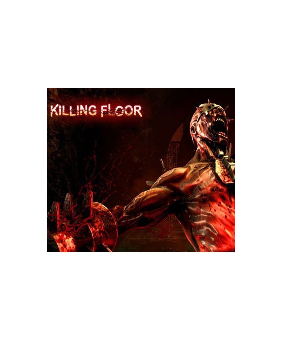 Killing Floor - The Chickenator Pack DLC Steam Key GLOBAL